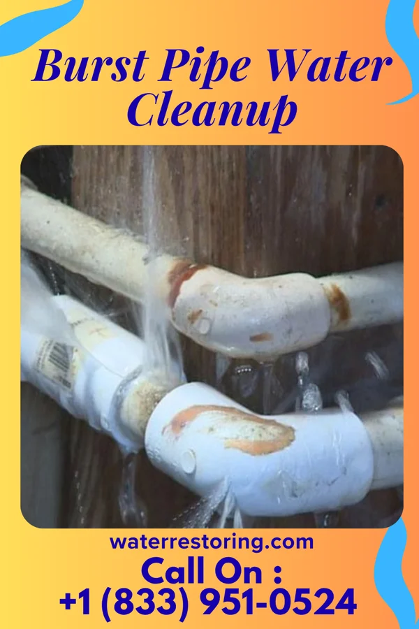 Burst Pipe Water Cleanup in Glassmanor, MD