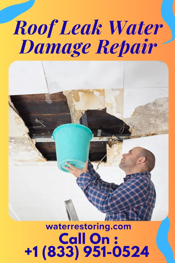 Roof Leak Water Damage Repair in Glassmanor, MD