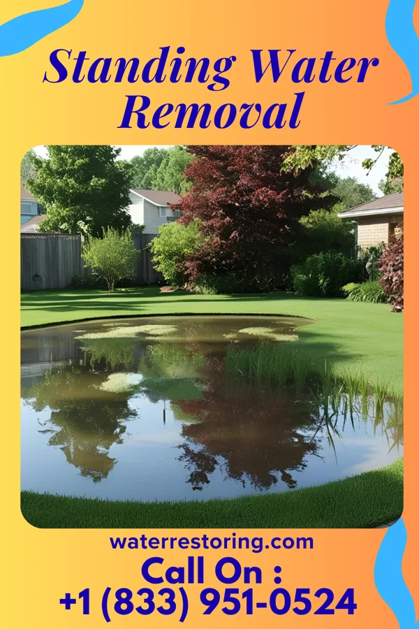 Standing Water Removal in Glassmanor, MD